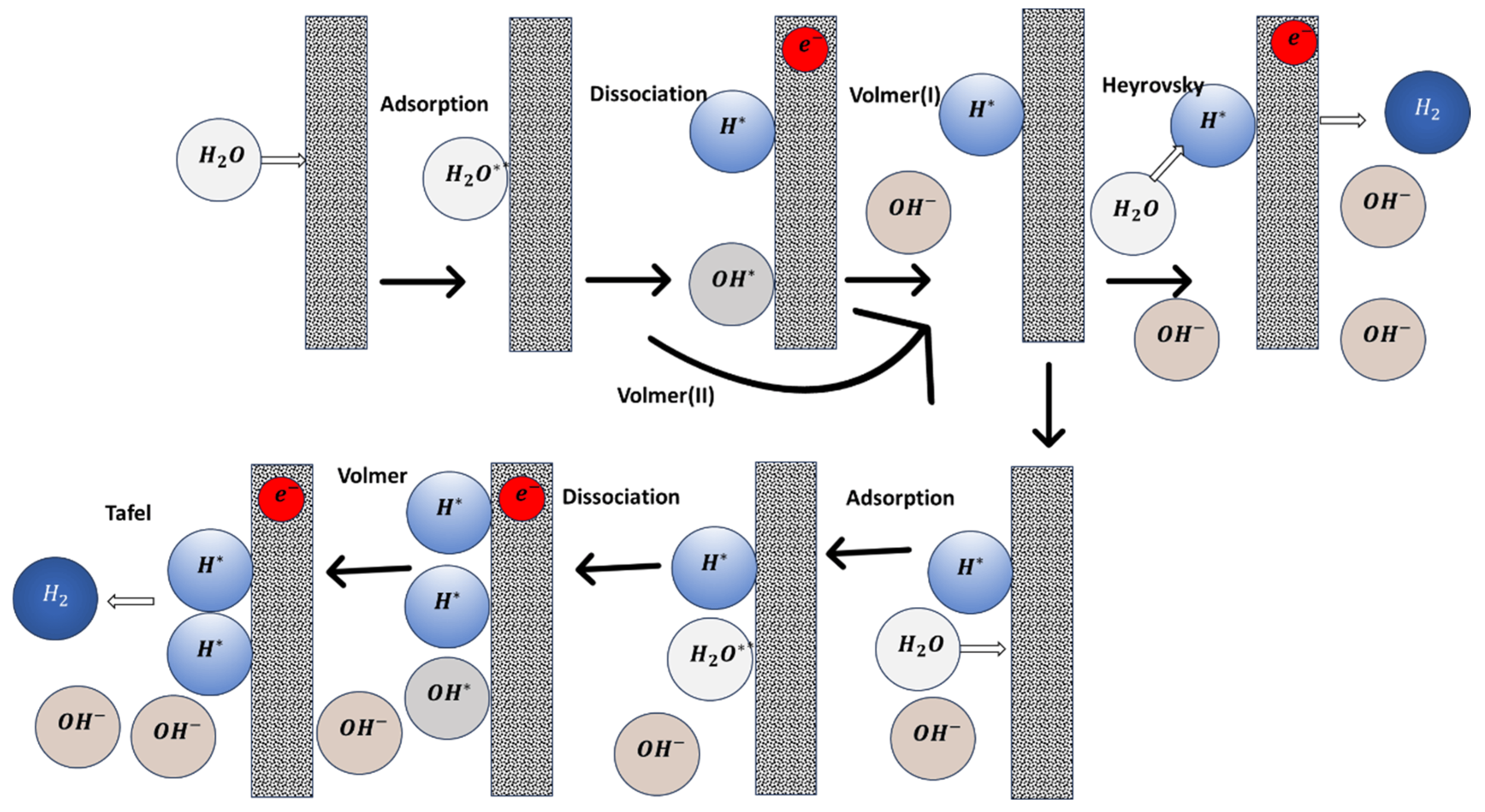 Navigating Alkaline Hydrogen Evolution Reaction Descriptors for Electrocatalyst Design